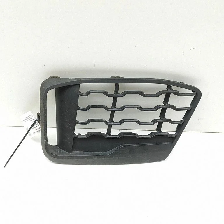 Front grill 8059889