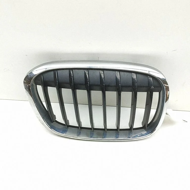 Front grill 7383364