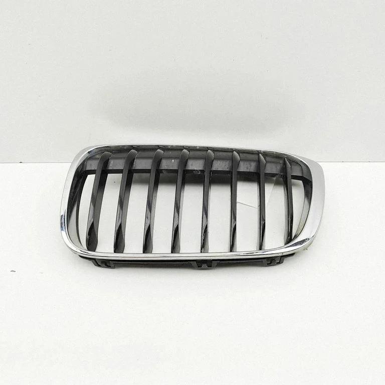 Front grill 7383363