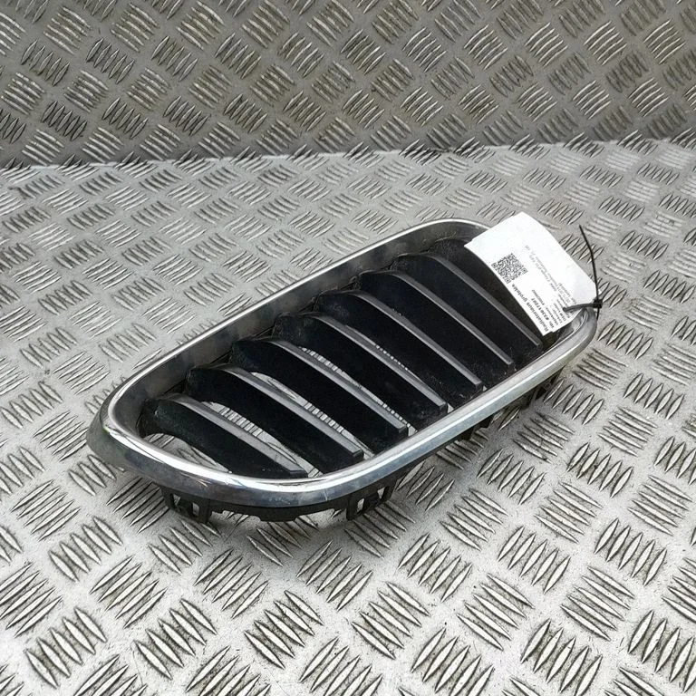 Front grill 7295524