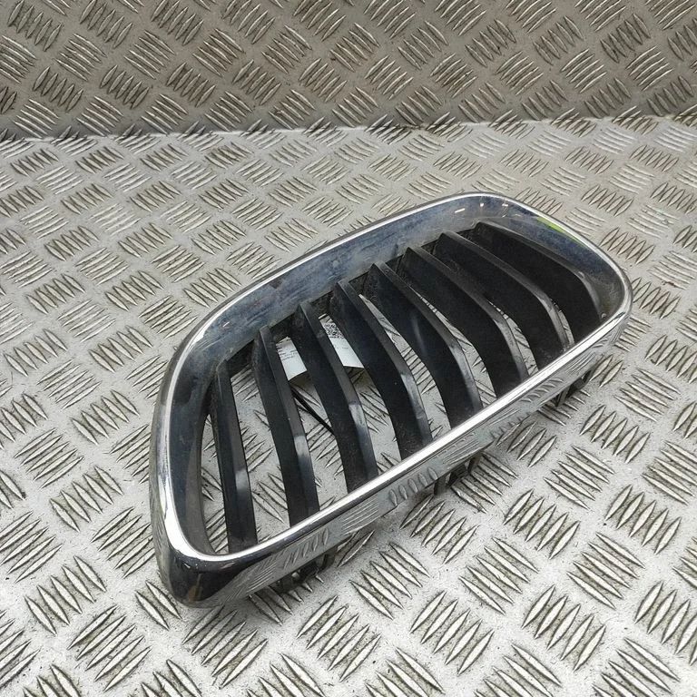 Front grill 7295523