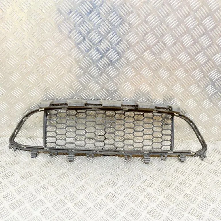 Front grill 8068124