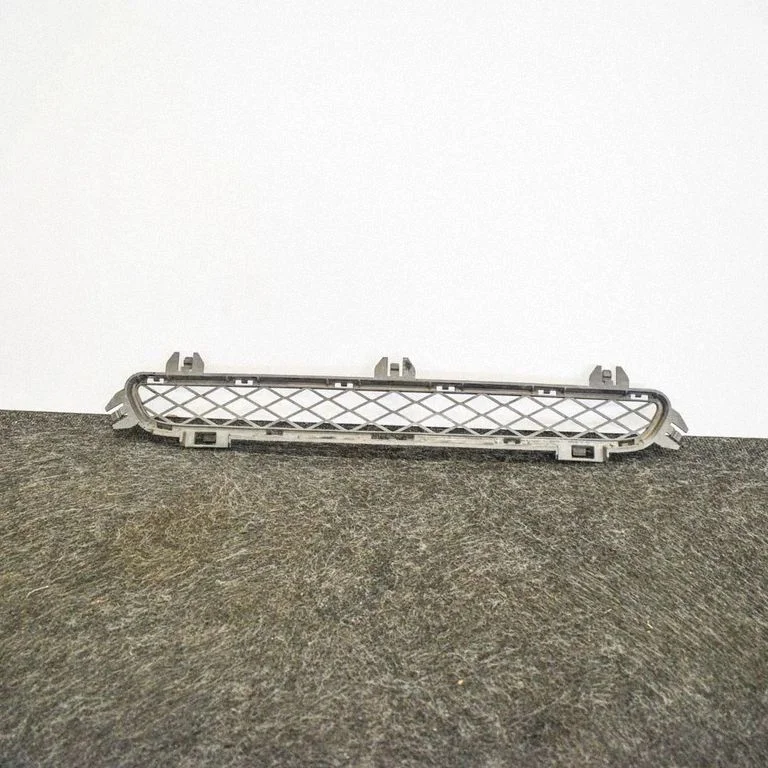 Front grill 7210466