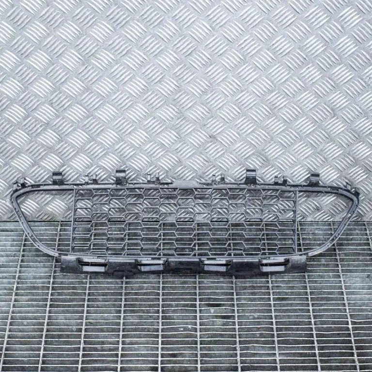 Front grill 8068124