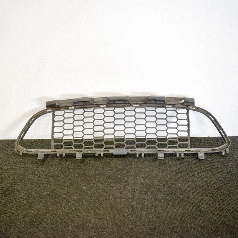 Front grill 8054132