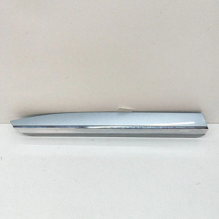 Rear door trim (molding) – Volkswagen Arteon (2017-)