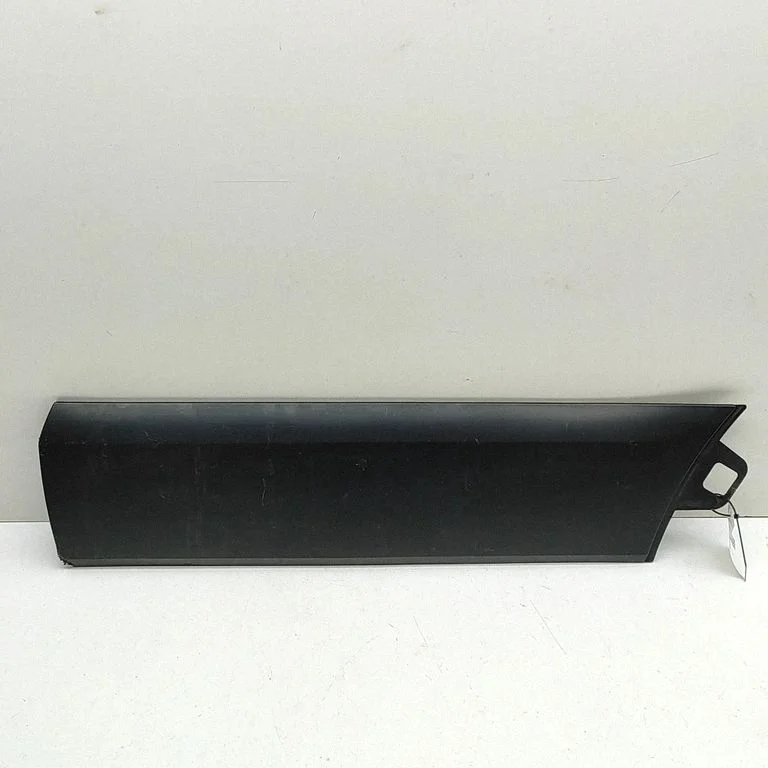 Priekšējo durvju apdare (molings) BK31V20780AGW