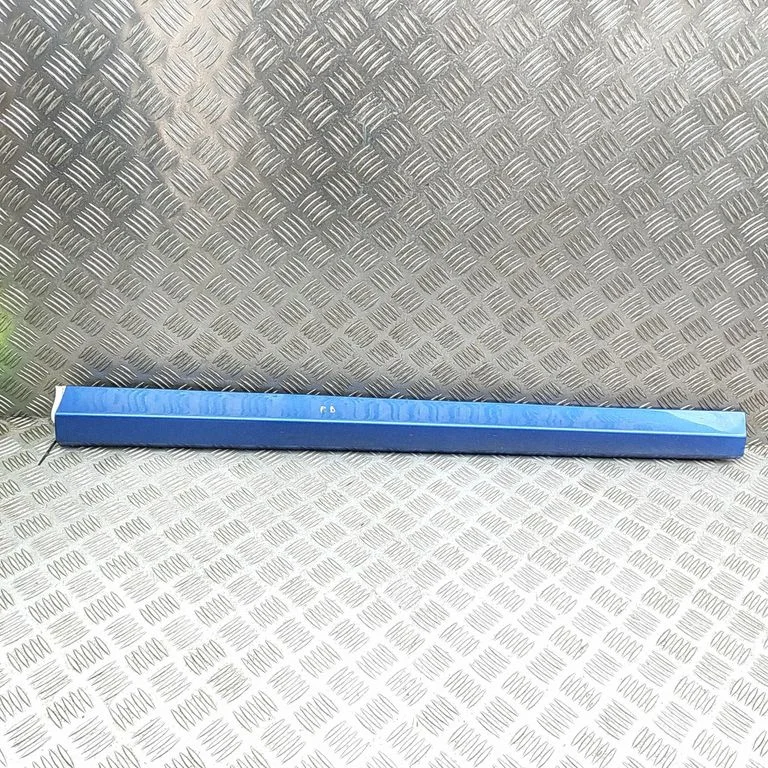 Front door trim (molding) 8060272