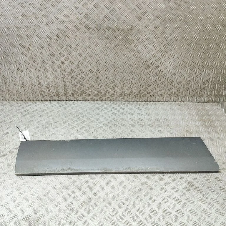 Priekšējo durvju apdare (molings) A1406900340
