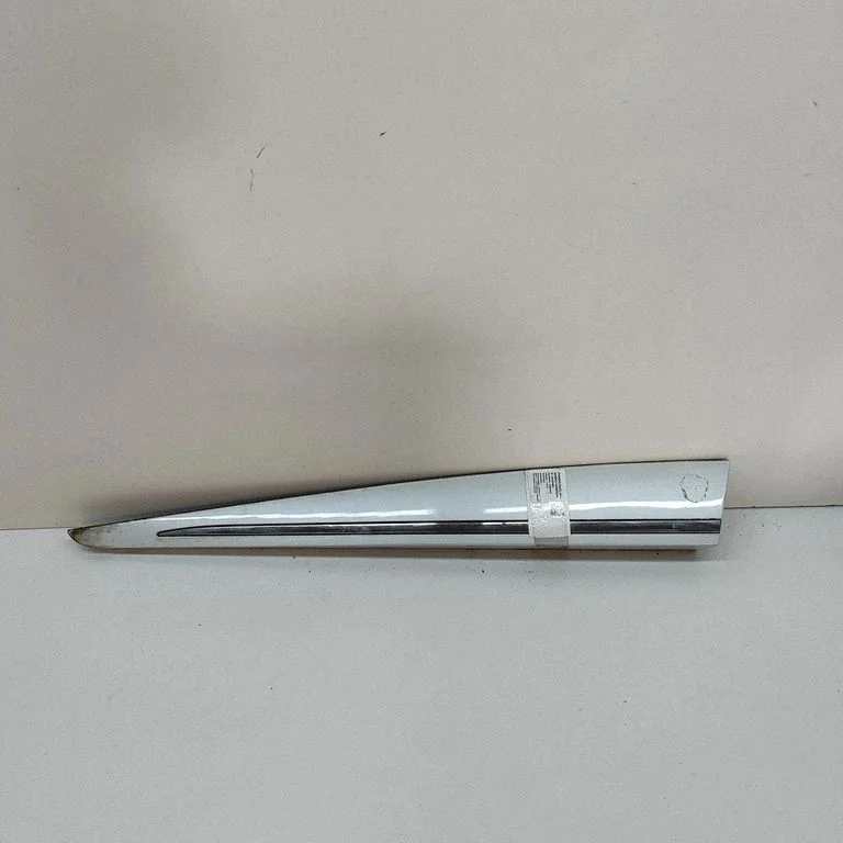 Priekšējo durvju apdare (molings) 808777693R