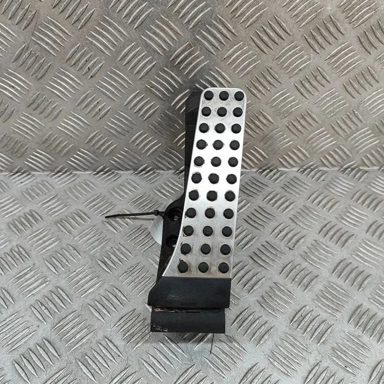 Accelerator throttle pedal A1673000500