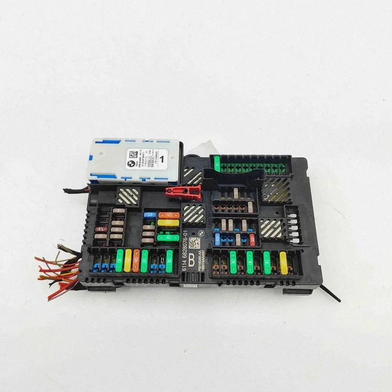 Fuse module P00166265AA