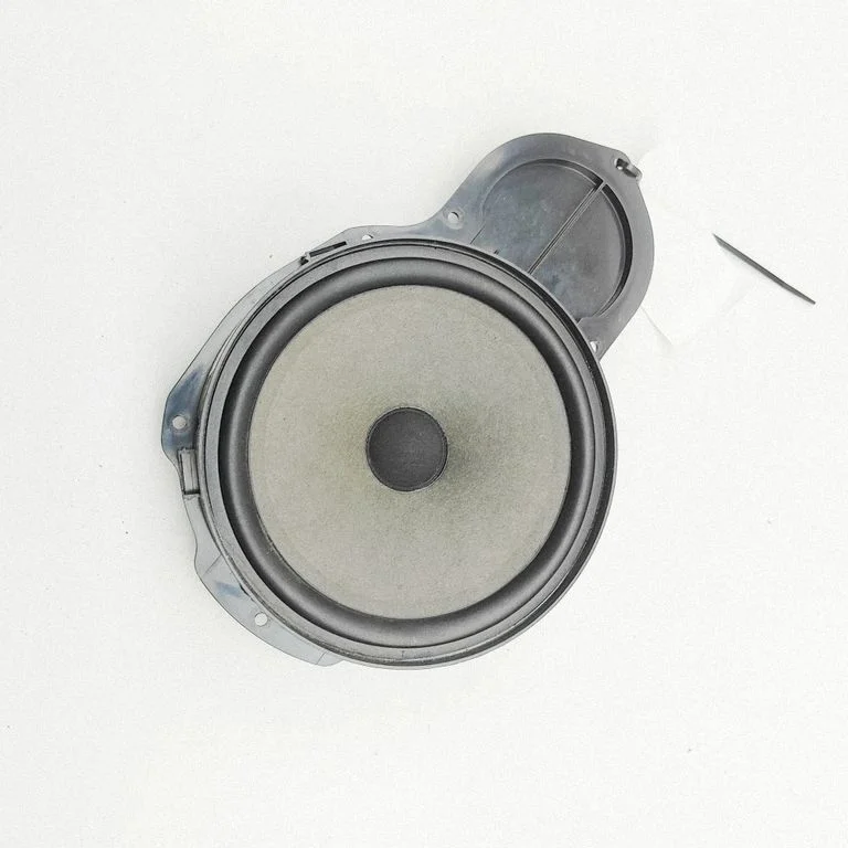 Front door speaker – Volkswagen Passat CC (2008-2016)