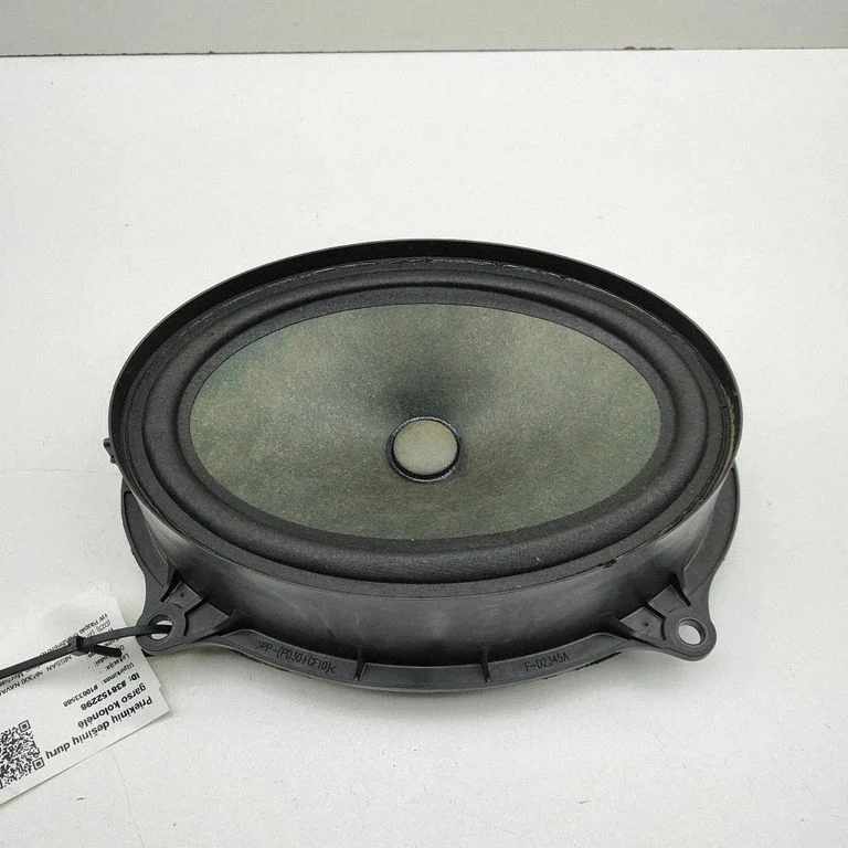 Skaļrunis (-ņi) priekšējās durvīs 281571ZR0A