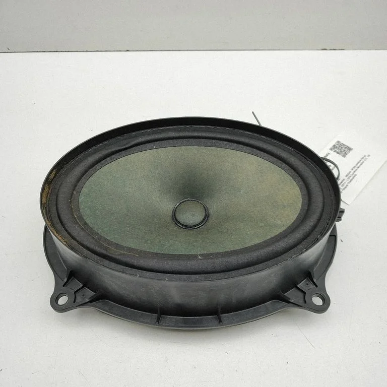 Skaļrunis (-ņi) priekšējās durvīs 281571ZR0A
