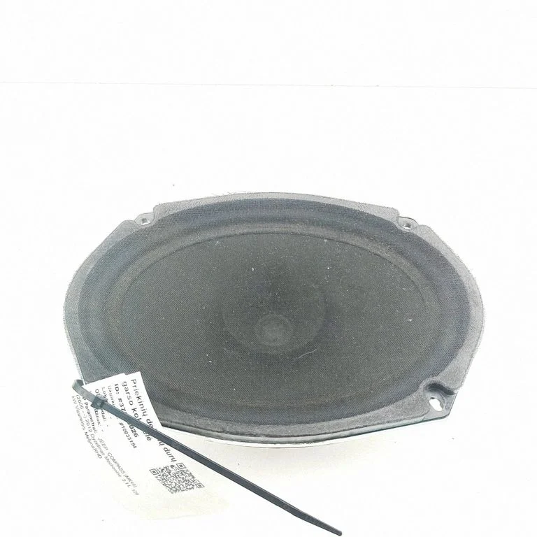 Front door speaker