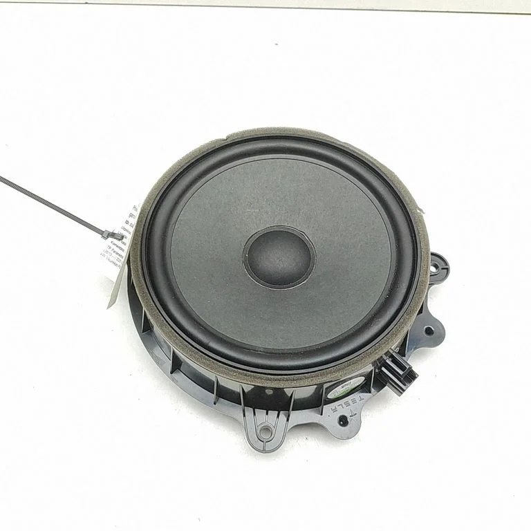 Skaļrunis (-ņi) priekšējās durvīs 107974400E