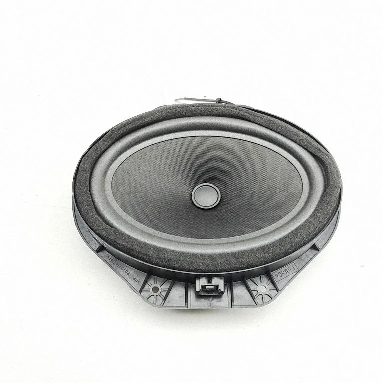 Skaļrunis (-ņi) priekšējās durvīs N1WT18808AB