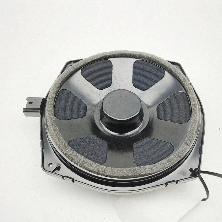 Skaļrunis (-ņi) priekšējās durvīs CPLA18808DB