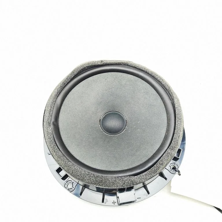 Skaļrunis (-ņi) priekšējās durvīs 4K0035415