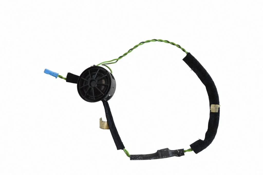 Skaļrunis (-ņi) priekšējās durvīs 9145383