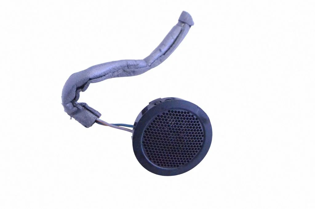 Skaļrunis (-ņi) priekšējās durvīs DH5218808AA
