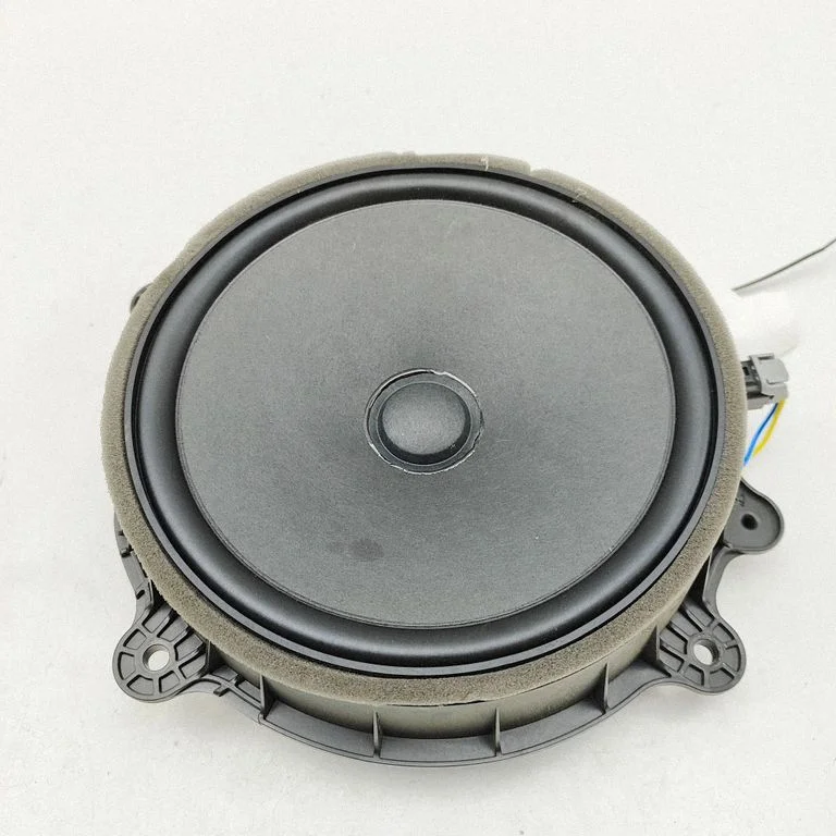 Skaļrunis (-ņi) priekšējās durvīs 107974300E