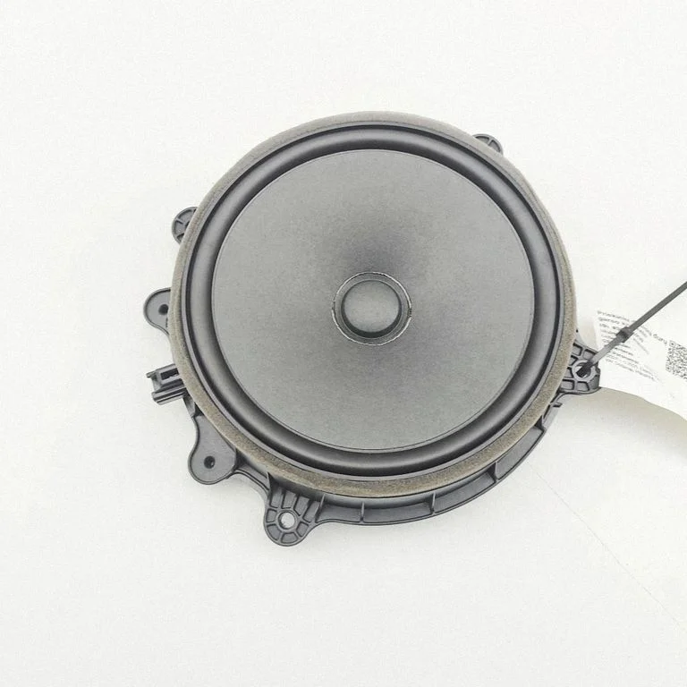 Głośnik w drzwiach przednich 107974300E