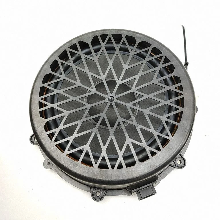 Skaļrunis (-ņi) priekšējās durvīs 971035454D