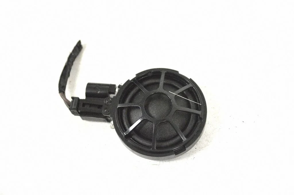 Skaļrunis (-ņi) priekšējās durvīs 100483300A