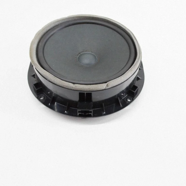 Skaļrunis (-ņi) priekšējās durvīs 80A035415