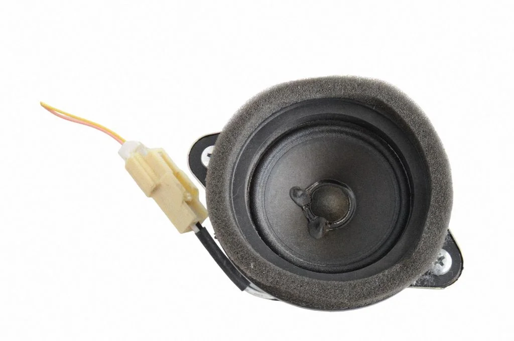 Skaļrunis (-ņi) priekšējās durvīs 86301CA010