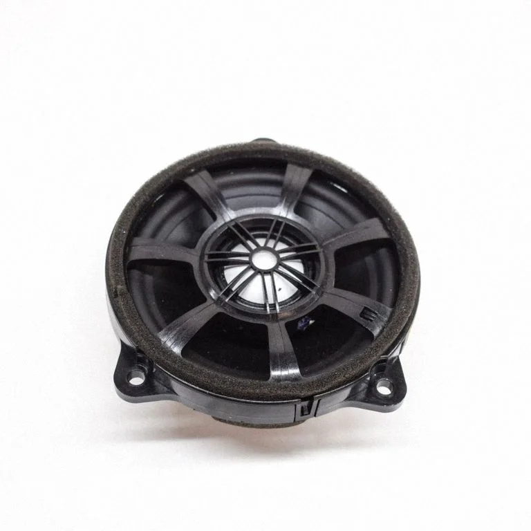 Skaļrunis (-ņi) priekšējās durvīs BJ3218808DC