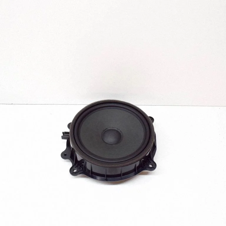 Front door speaker 107974400E