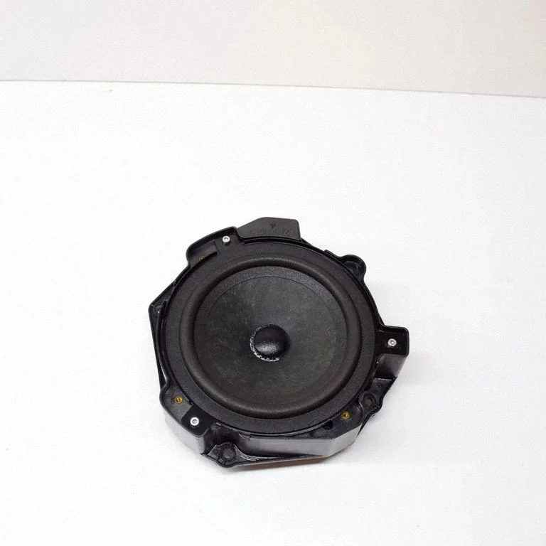 Skaļrunis (-ņi) priekšējās durvīs 41021701