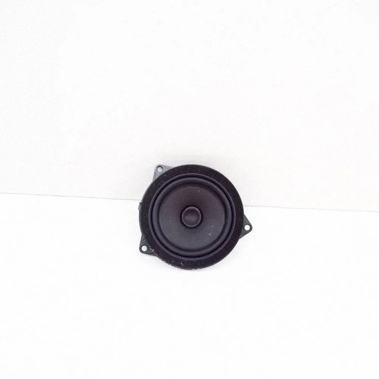Front door speaker 6809626