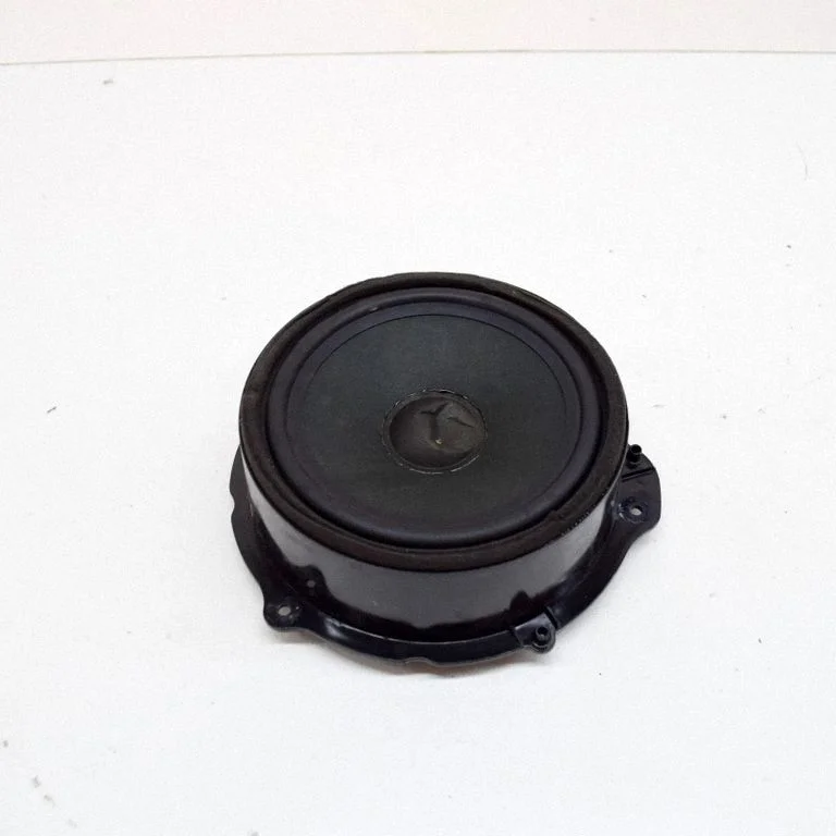Skaļrunis (-ņi) priekšējās durvīs GX7318808CE