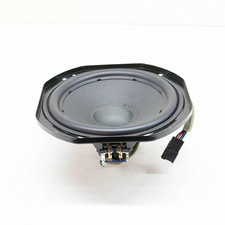 Skaļrunis (-ņi) priekšējās durvīs 107974500A