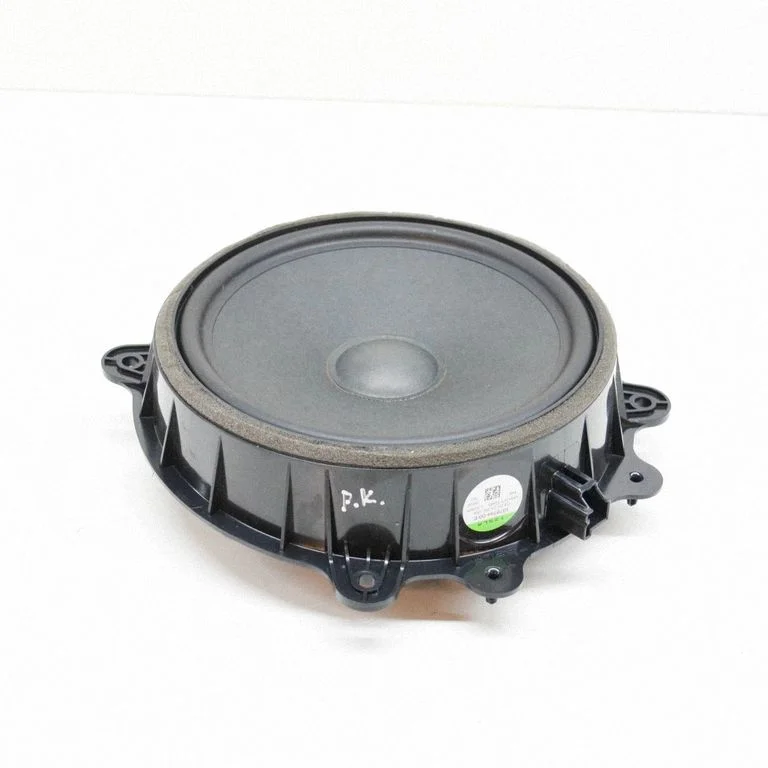 Skaļrunis (-ņi) priekšējās durvīs 107974400E