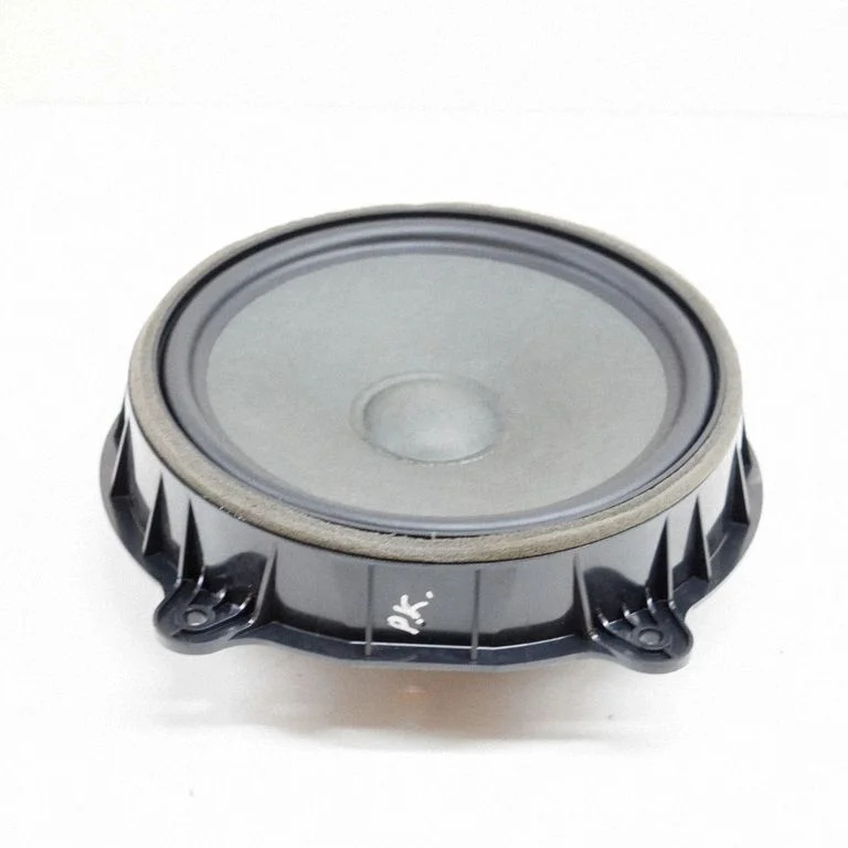 Front door speaker 107974400E