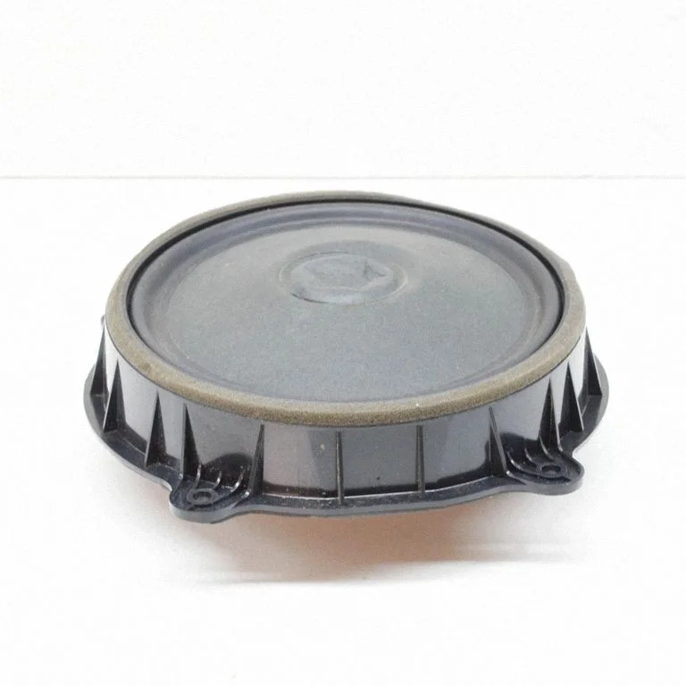 Skaļrunis (-ņi) priekšējās durvīs 107974400E