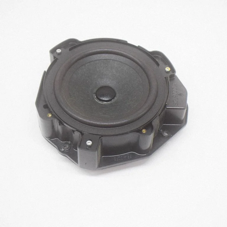 Front door speaker 41021701