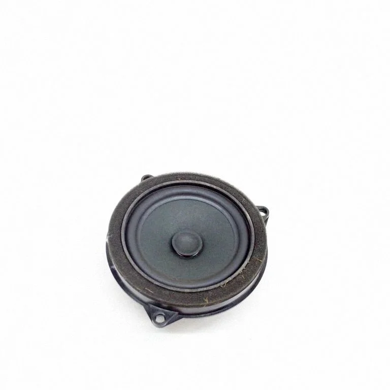 Front door speaker 6809626