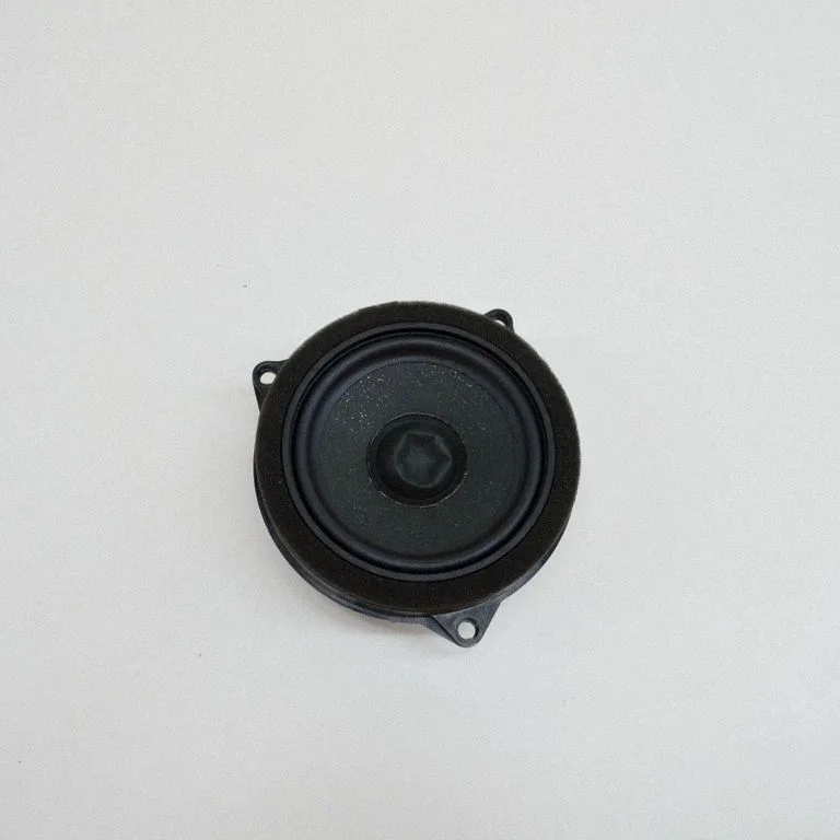 Skaļrunis (-ņi) priekšējās durvīs 6809629