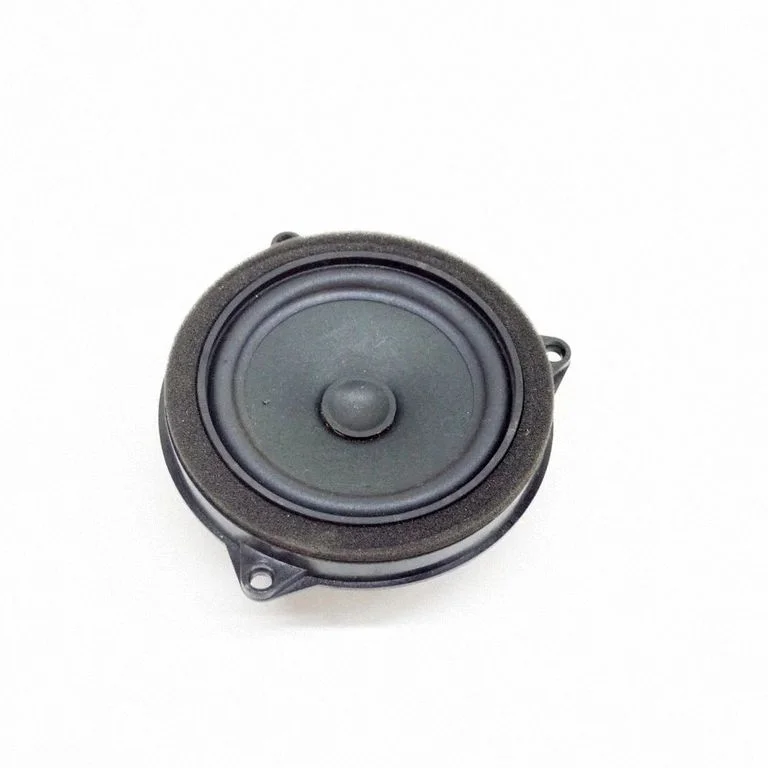 Front door speaker 6809626