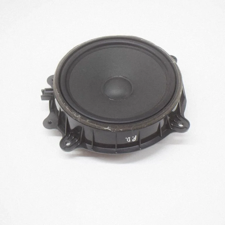 Front door speaker – Tesla Model S (2012-)