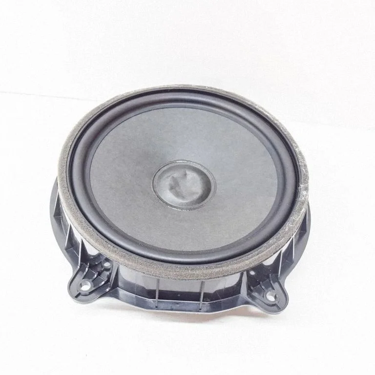 Front door speaker – Tesla Model S (2012-)
