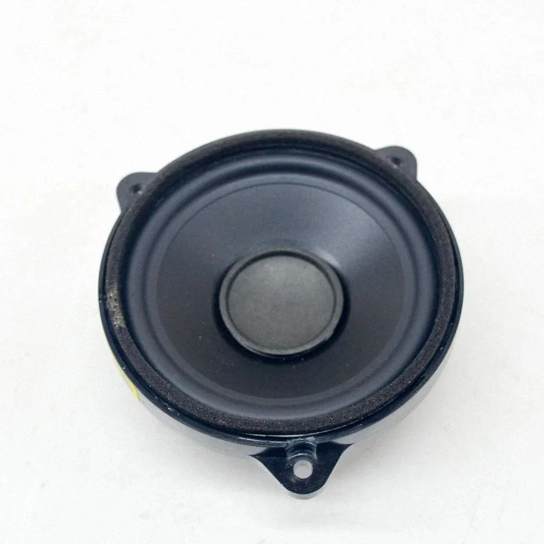 Skaļrunis (-ņi) priekšējās durvīs 434107868071