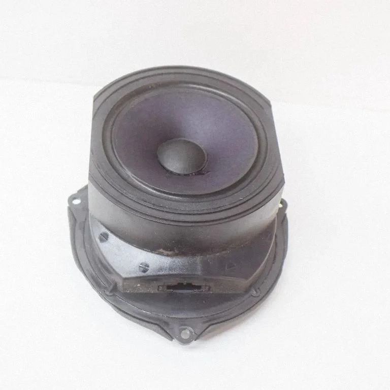 Skaļrunis (-ņi) priekšējās durvīs 3D0035453