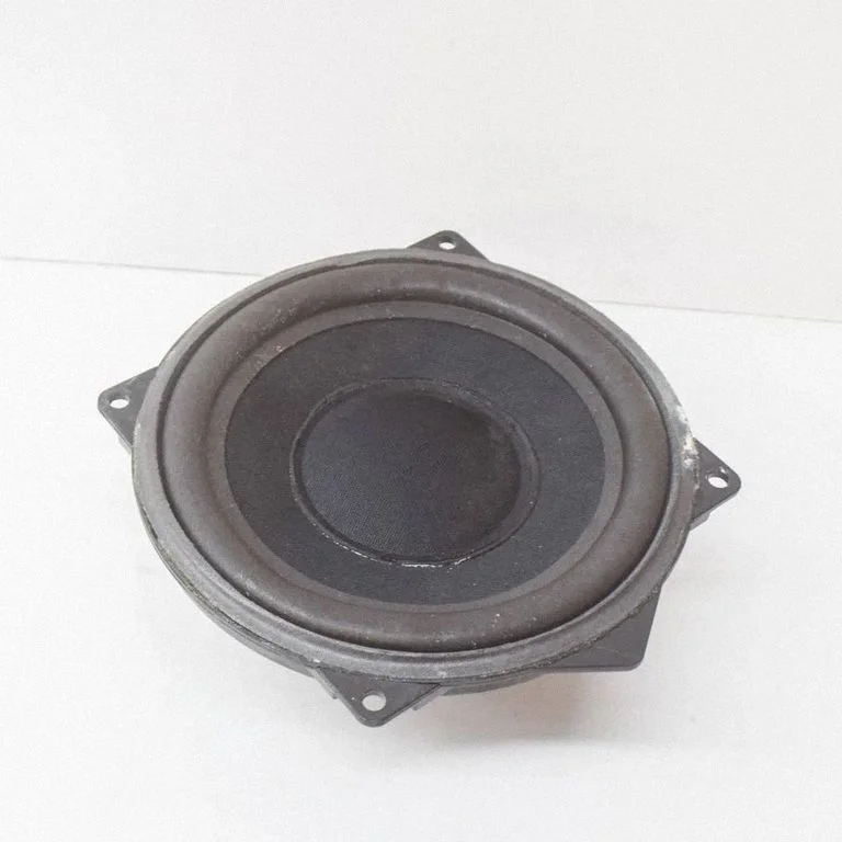 Skaļrunis (-ņi) priekšējās durvīs 3D0035454